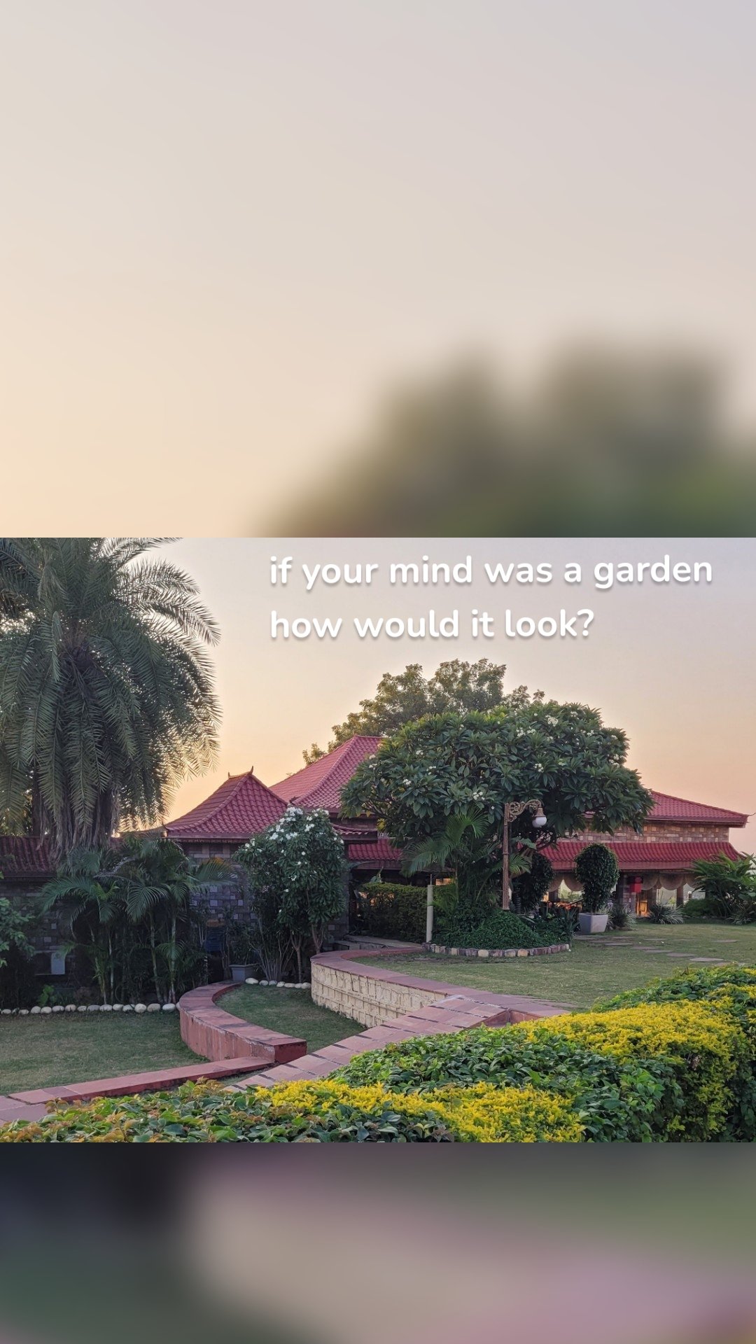 if your mind was a garden
how would it look?